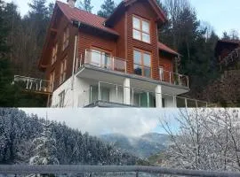 Holiday home in Hornberg with swimming pool