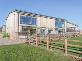 The Lookout - Ukc3846