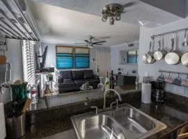 2BD Condo DFW South I14