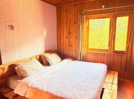 Mukhi Cottage near Naggar Mountain Private Mountain Views, khách sạn ở Nagar