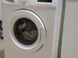 sea l, pet-friendly hotel in Jakarta