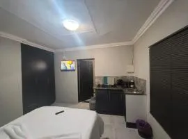 The Good Samaritan 1