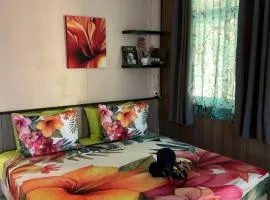 Tauraatini house F3 - MOOREA Maatea