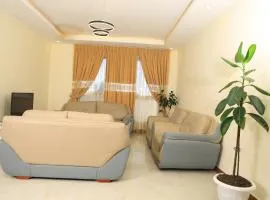 My Dream Apartments - 4 miles from Bole International Airport