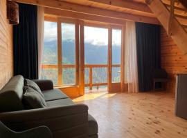 Dreamy Garden Cabin, hotel in Gundauri