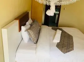 Boat tour , accommodation,car safaris