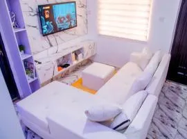 Cozy Modern Apartment with Free WiFi Netflix 1bed luxury Apartment, Adeniyi Jones 24hours Power 3min From the Airport