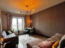 Cozy Flat in Dublins City Heart Feel Like Home