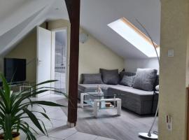 Ferienwohnung Blumenberg DG Karlstraße, Hotel in Staßfurt