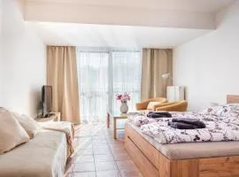 Apartmán IRIS Poděbrady 3