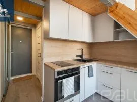 Loftas Dumu fabrikas