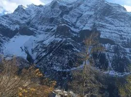 Snow Peaks View Homestay