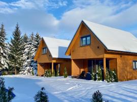 Dream Home 600m2 EV WiFi600 PlaySt Kominek Las10min, toegankelijk hotel in Polanica-Zdrój