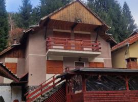 Vila Miruna, hotel in Rausor