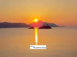 Theoxenia
