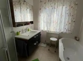 Danner Appartements Gschwandt bei Gmunden