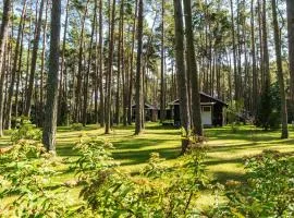Urlaub im Bungalow mitten im Wald