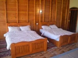 دار تونس الزيتون