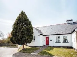 Oyster Catchers - Uk6730