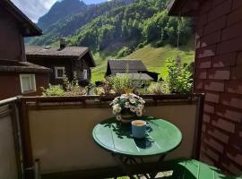 Mattishüüsli - Chalet with a little garden, готель у місті Luchsingen