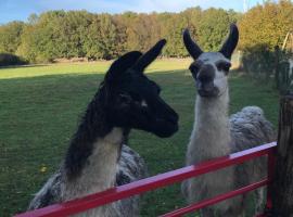 La Fermette Aux Lamas, ξενοδοχείο σε Savigny-Lévescault