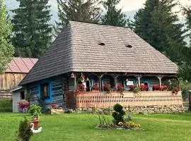 Căsuța Floarea Reginei