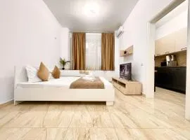 Central Address Studio 9 - Palace of Parliament Area