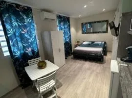 Studio Zen Caza Form