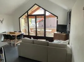 Lumineux triplex dans immeuble privé proche pistes