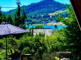 Casa dintre Brazi Colibita, hotel v destinaci Colibiţa