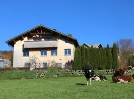 Ferienwohnung Vögel