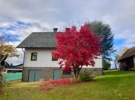 Ferienhaus zur alten Zeder