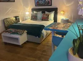 Highly recommended apartment steps from the lake