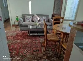 MEZZANINE 17 Rue de la Fraternité DEUX CHAMBRES AVEC PARKING