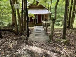 Secluded Woodland Cabin Rental with Hot Tub in Yadkin Valley Wine Region