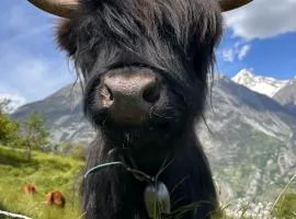 Gemütliche 2-Zimmer Wohnung mir Bergblick