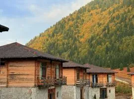 პანორამა გომარდული