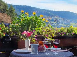 Schwarzwald-Ferienwohnungen Begert