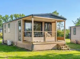 Camping Papillon Kinrooi – 139