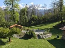 Glyssen 22 Schwanden