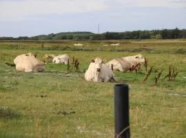 5 star holiday home in Sæby