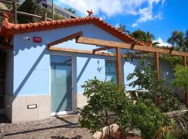 FLH Funchal Studio Blue View Gardens