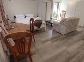 Quiet 40m Studio - Kitchen, Washer, AC, Work Desk