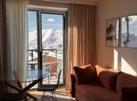 Ski Zoo Apartments, new gudauri