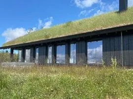 Mountain Cabinin Valdres