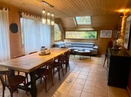 Appartement - Chalet MONT DORE COSY 6/7 personnes