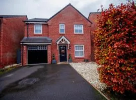 PG Stays - Spacious Rooms with Shared Facilities