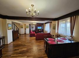 Penthouse Renașterii Amazonia, hotel din Timișoara