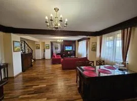 Penthouse Renașterii Amazonia