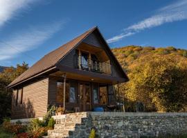 Pankisi Wooden Cottage，位于Akhmeta的公寓